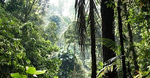 The-imperative-of-sustainability